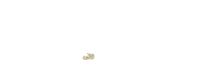 KOKO11